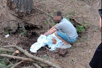 Живодер из Екатеринбурга, убивший шпица, получил 10 месяцев исправительных работ - Фото 1