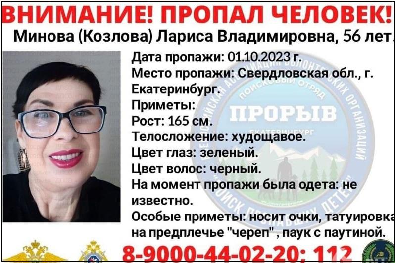 В Екатеринбурге пропали мужчина и его мать, которые приехали на заработки из Туринска - Фото 1