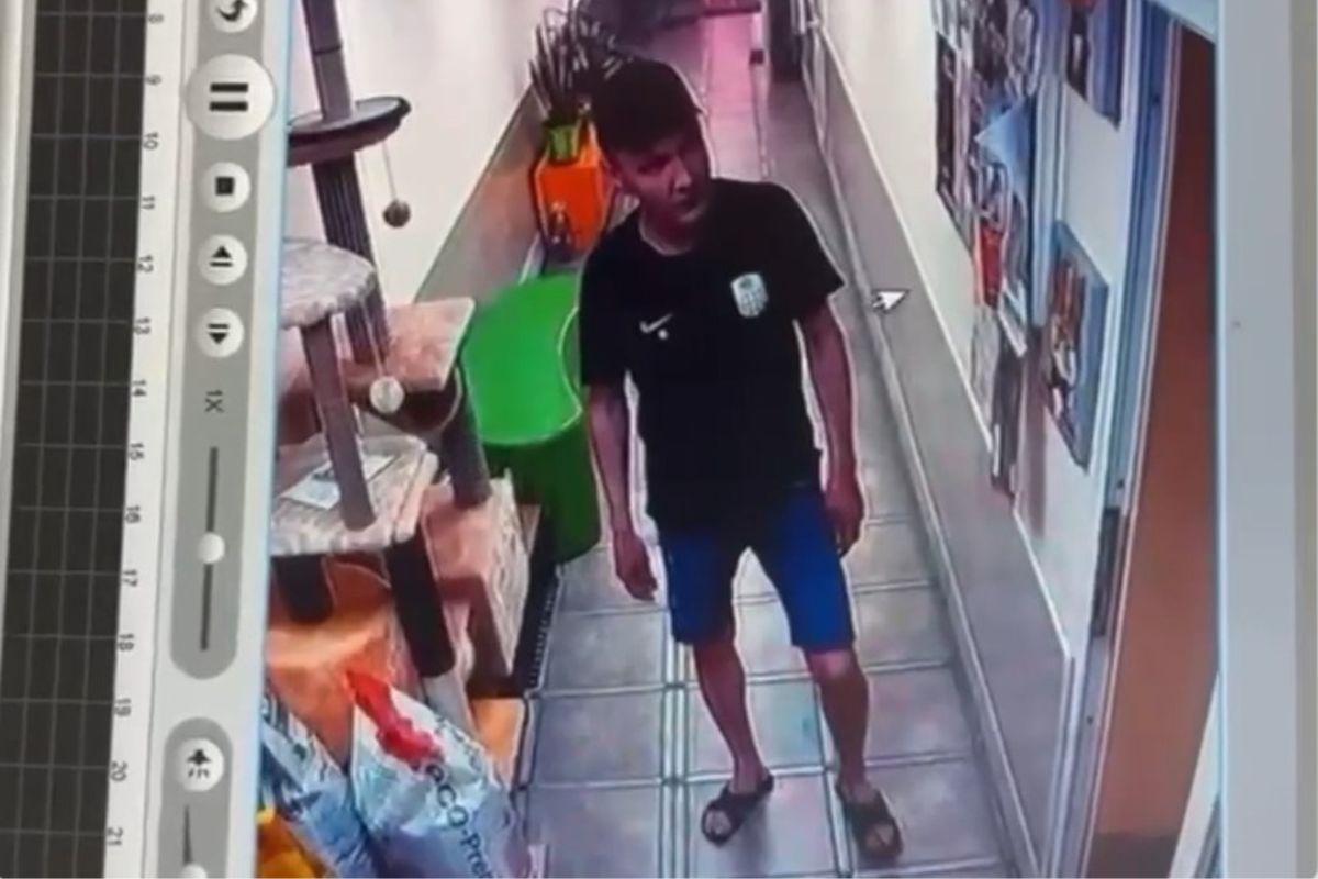 В Екатеринбурге мужчина утащил из зоомагазина огромный мешок с собачьим кормом - Фото 1