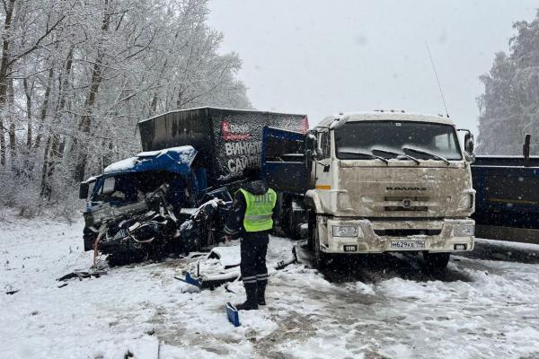 На трассе под Екатеринбургом в смертельном ДТП столкнулись два «КамАЗа» - Фото 1