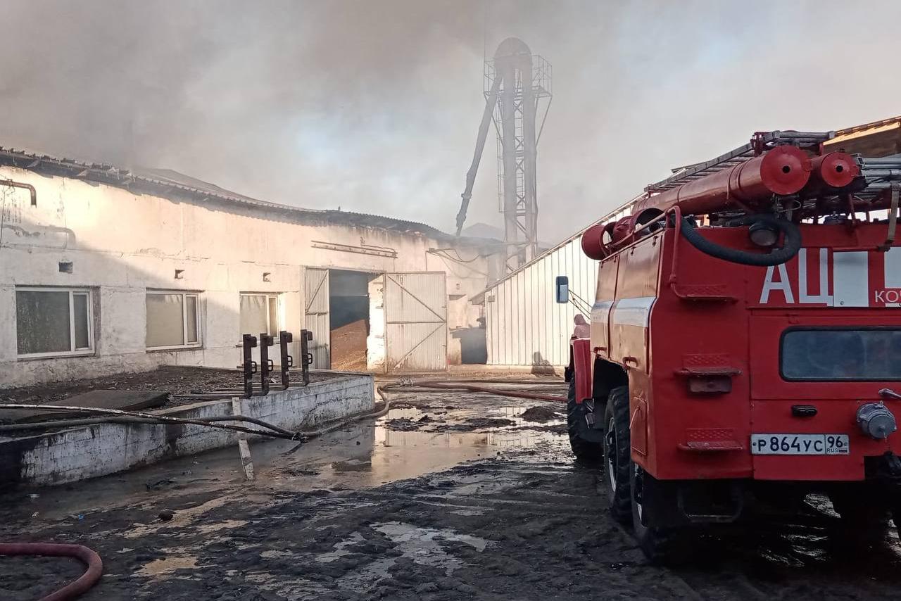 В Свердловской области локализовали пожар на маслобойне площадью 750 кв. метров - Фото 1