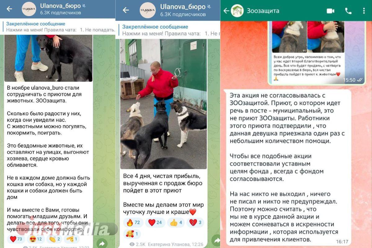 Блогер Уланова для привлечения клиентов врала о сотрудничестве с «ЗООзащитой» - Фото 1