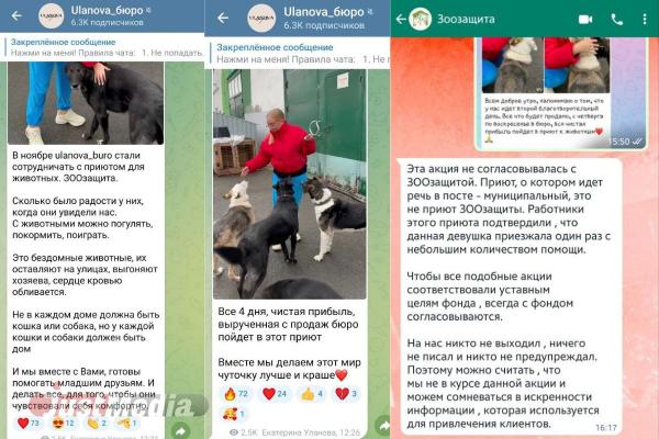 Блогер Уланова для привлечения клиентов врала о сотрудничестве с «ЗООзащитой»