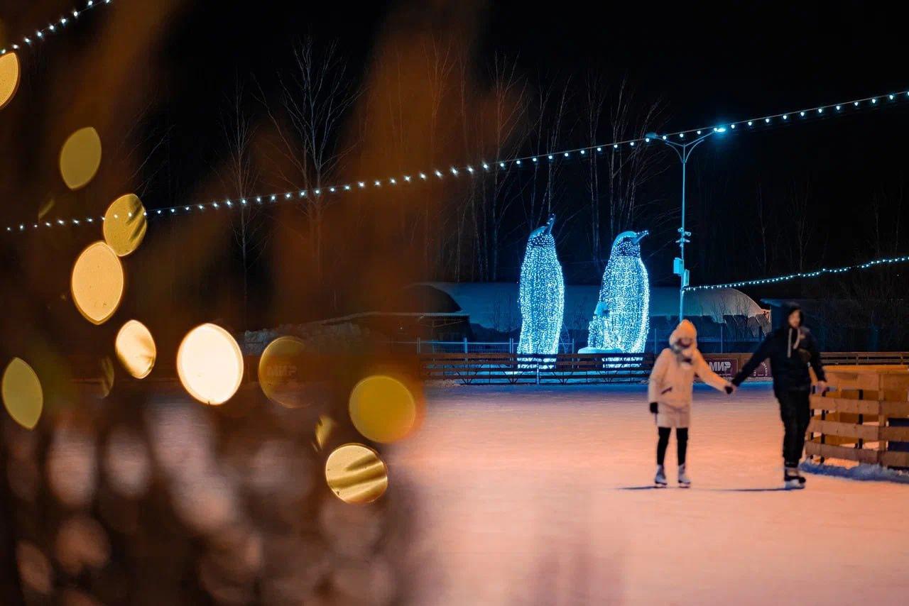 В выходные в парке Маяковского откроется каток - Фото 1
