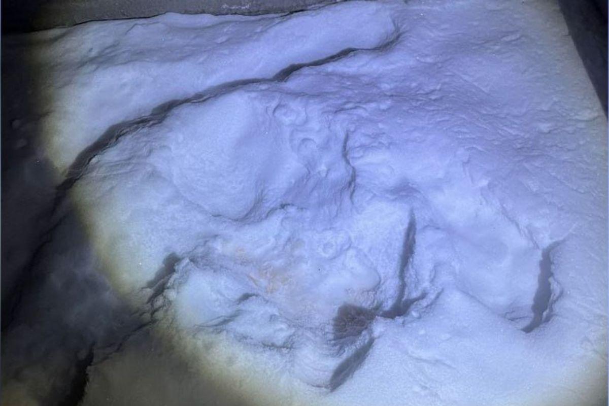 В Екатеринбурге девушка родила ребенка дома и оставила его на улице в пакете - Фото 1