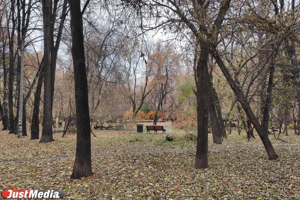 Жители нескольких домов на Ленина опасаются, что на месте сквера под их окнами вырастет ЖК - Фото 1