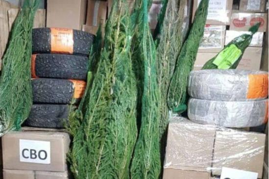 Уральские бойцы в зоне СВО получили посылку с Родины - Фото 1