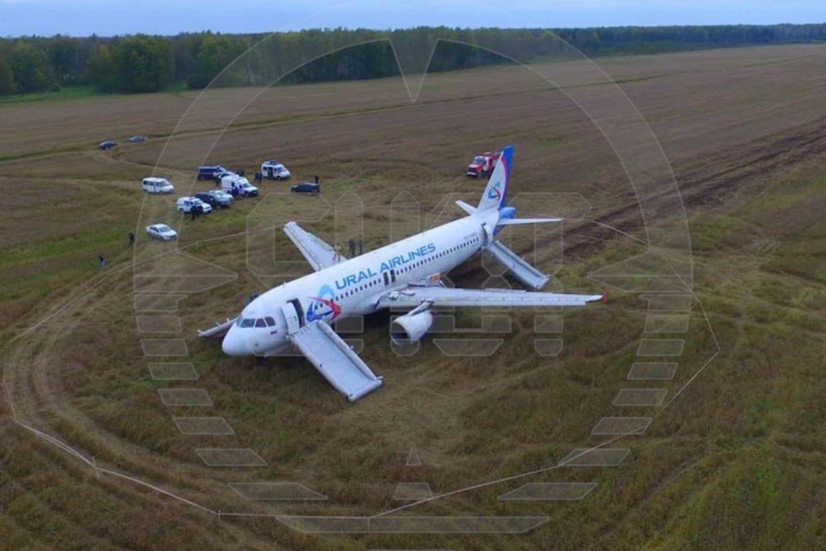 Самолет «Уральских авиалиний», севший на пшеничное поле, разберут и утилизируют - Фото 1