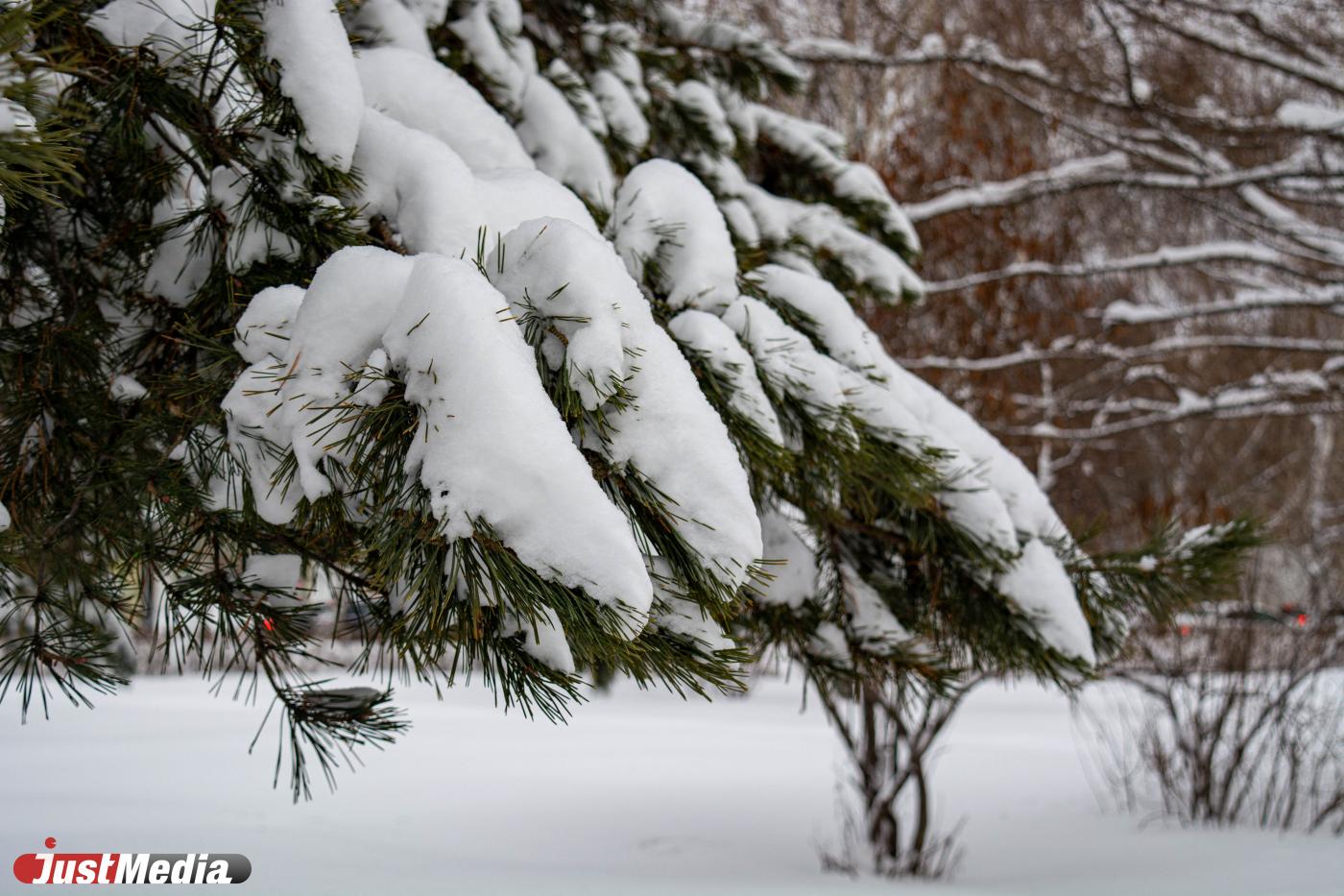 К концу недели на Урале, наконец, потеплеет до -6°C - Фото 1