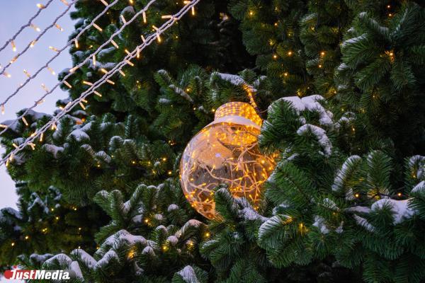  В Екатеринбурге новую елку будут устанавливать в ледовом городке минимум 5 лет - Фото 1