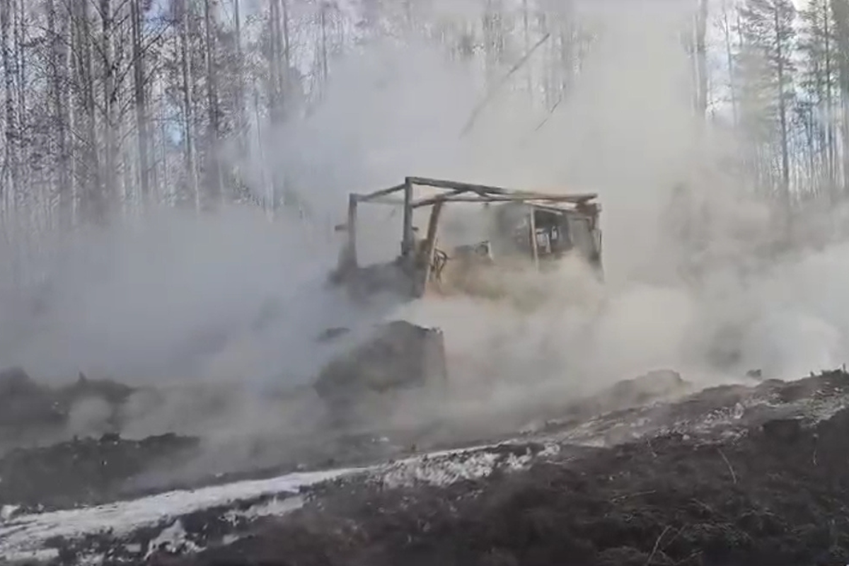 В лесах под Екатеринбургом обнаружили торфяные пожары - Фото 1
