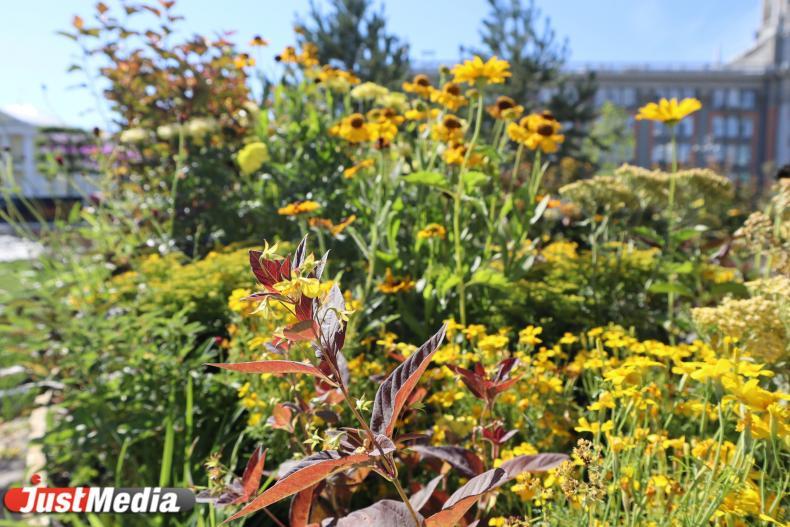 Названы 8 парков Екатеринбурга, претендующих на благоустройство в 2025 году - Фото 1