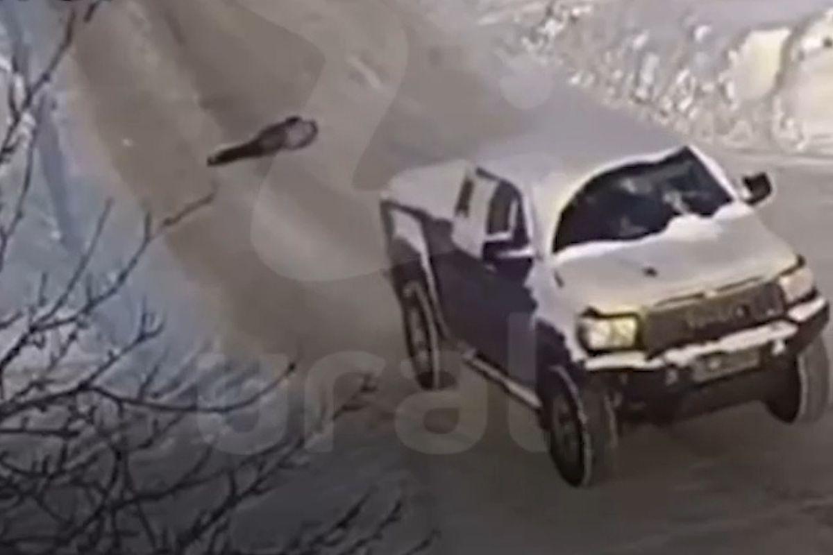 В Первоуральске внедорожник сбил школьника из-за закрывающего обзор сугроба - Фото 1