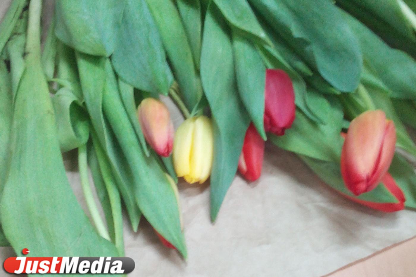 Когда можно сажать тюльпаны  - Фото 1