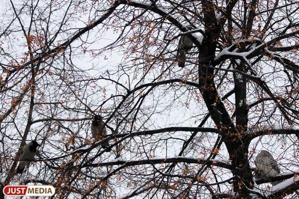 Как сделать кормушку для птиц своими руками - Фото 1