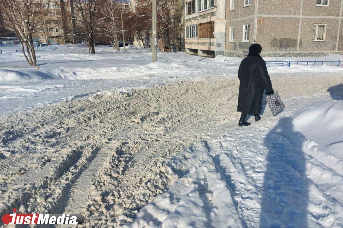 Жители Екатеринбурга массово жалуются на неубранные дворы - Фото 1