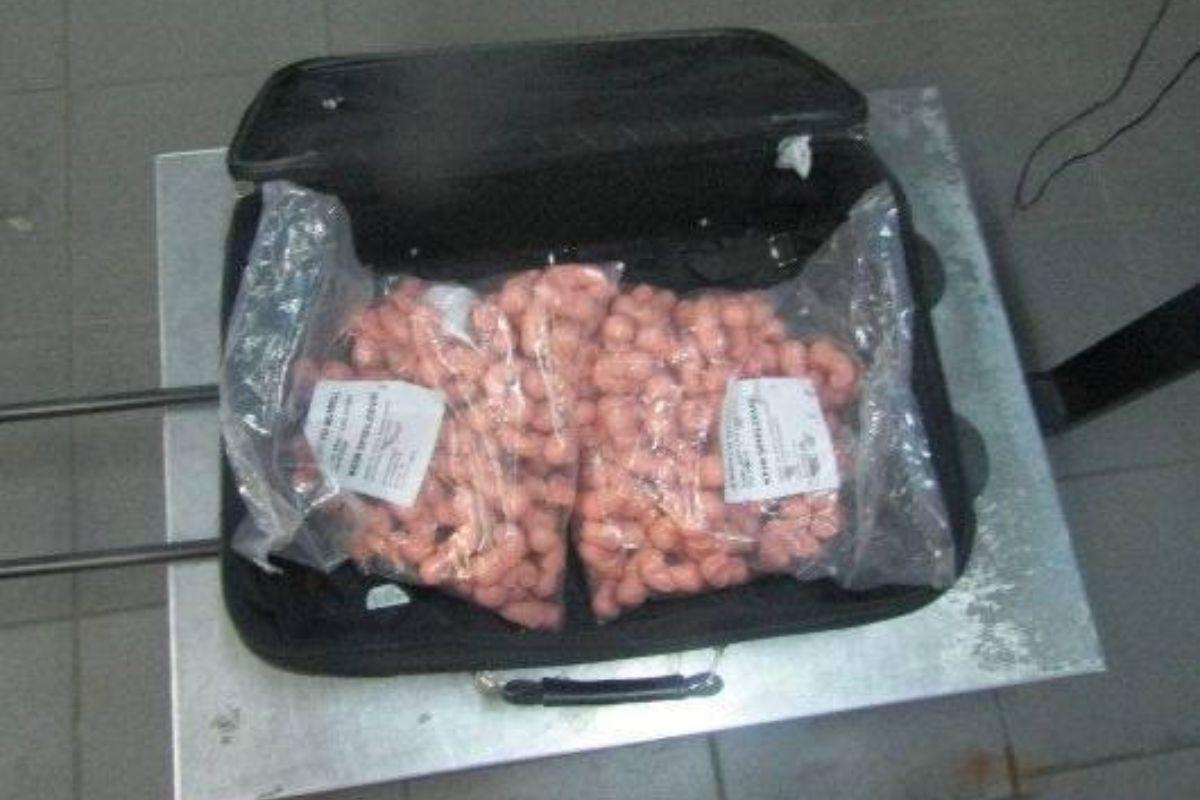 На российско-эстонской границе задержали женщину с чемоданом «эмбрионов» - Фото 1