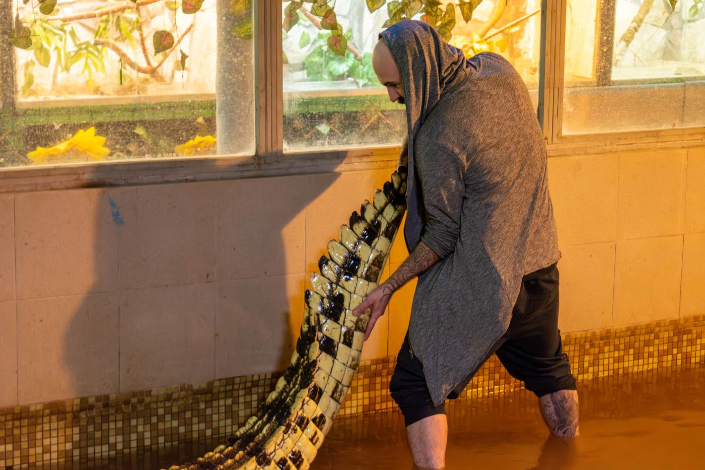 Евгений Благодир, дрессировщик крокодилов: «Чтобы не приходилось утепляться, я создал себе круглогодичное лето». В Екатеринбурге -8 градусов - Фото 1