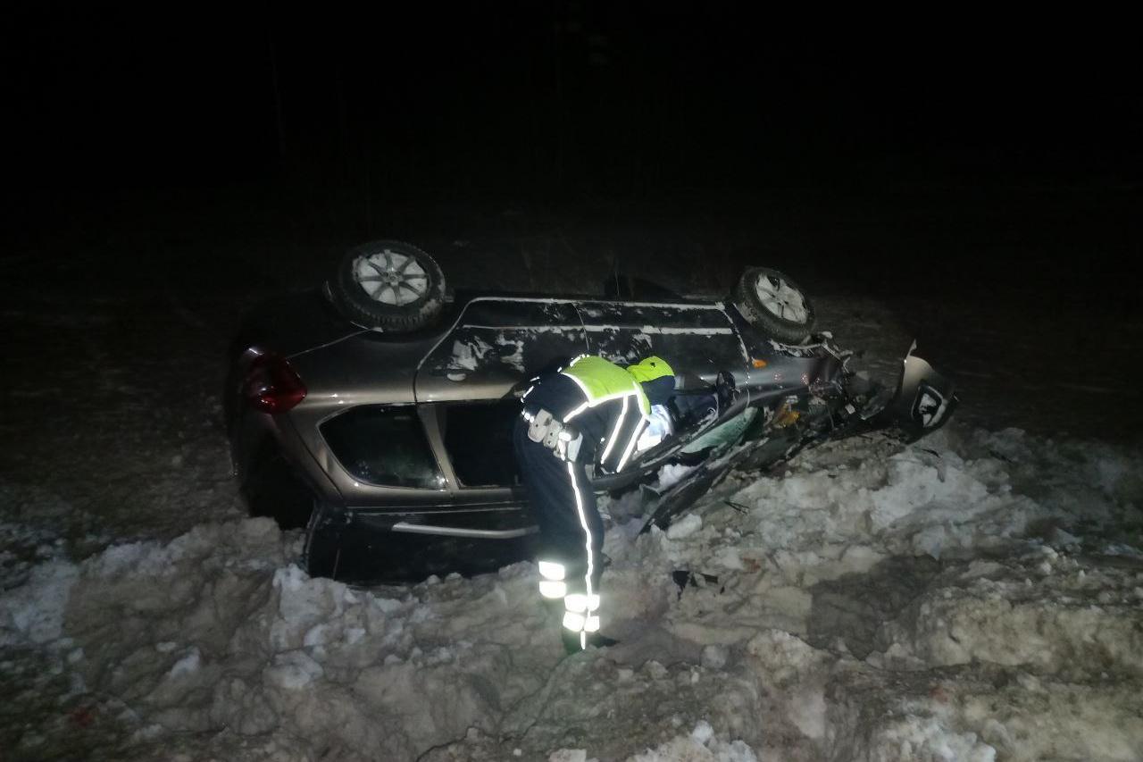 Под Нижним Тагилом в ДТП с лосем погиб 17-летний подросток - Фото 1