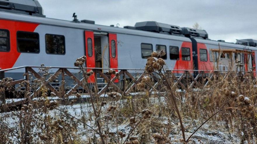СвЖД назначила туристический поезд на праздник весны в «Оленьи ручьи» - Фото 1