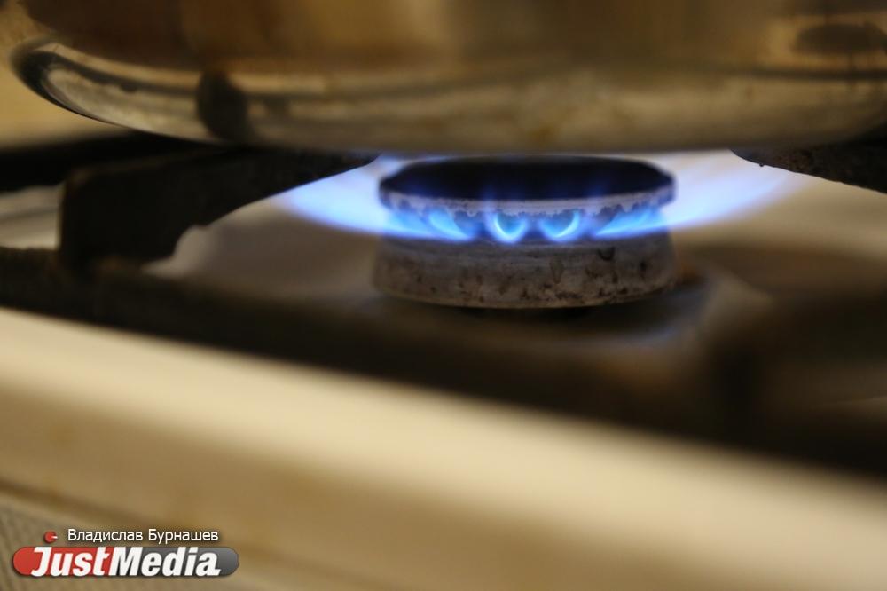 Куйвашев поручил включить сады в программу социальной газификации - Фото 1