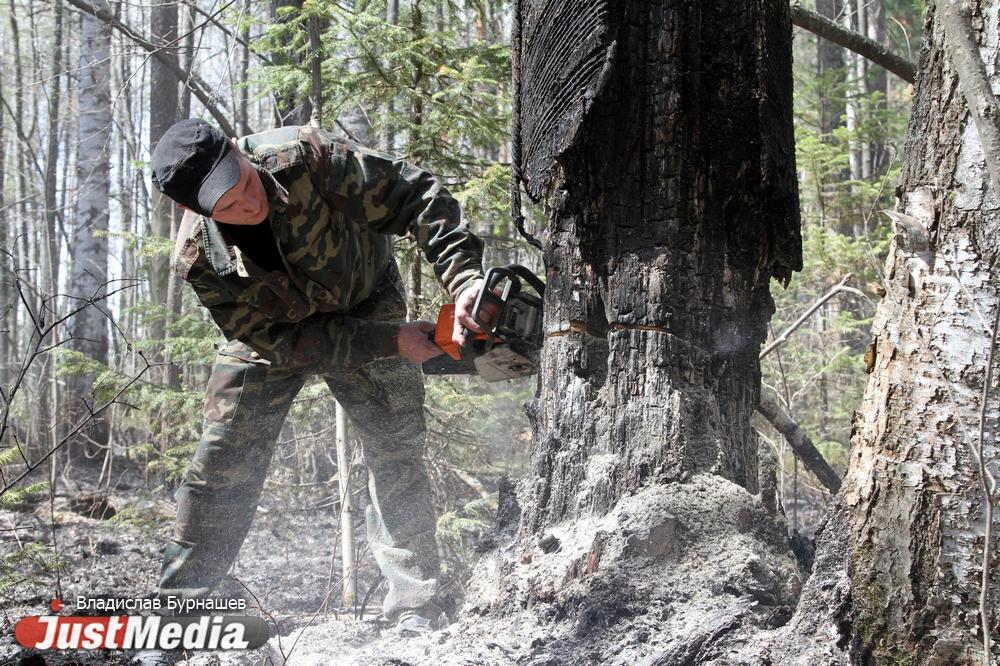 К тушению лесных пожаров на Среднем Урале готовы 600 специалистов - Фото 1