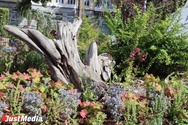 В Екатеринбурге выбирают парк, который благоустроят за федеральный счет - Фото 1