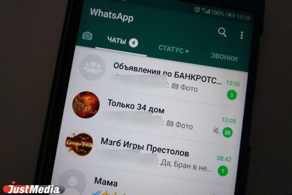 В мэрии Екатеринбурга опровергли запрет на школьные чаты в WhatsApp - Фото 1
