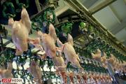 В России проводят проверку цен на курицу