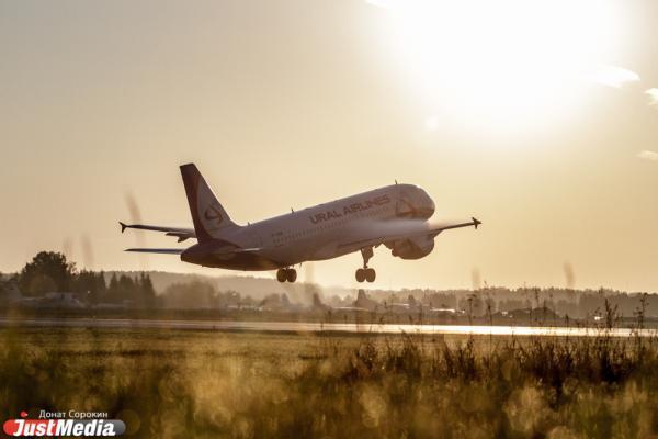 Экстренная посадка самолета «Уральских авиалиний» нанесет колхозу ущерб в 1,2 млн рублей - Фото 1