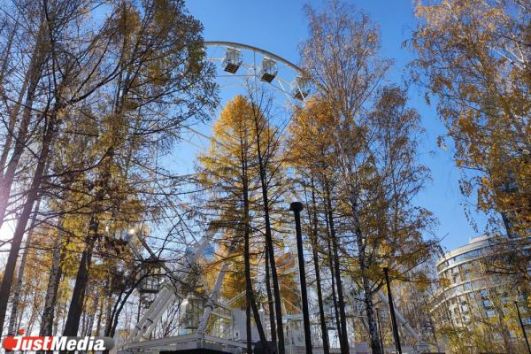 В парке Маяковского из-за замены иллюминации не работает Колесо обозрения - Фото 1