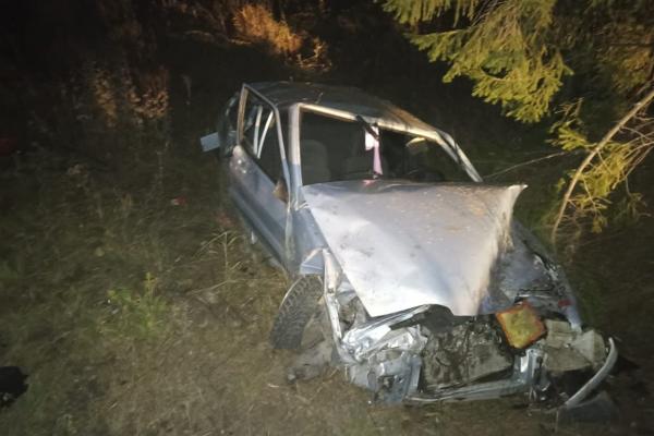 В Волчанске пьяный водитель ВАЗа улетел в кювет и убил пассажирку - Фото 1