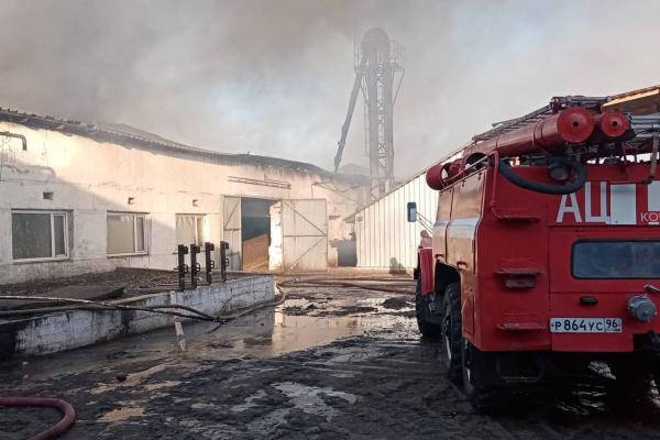 В Свердловской области локализовали пожар на маслобойне площадью 750 кв. метров - Фото 1
