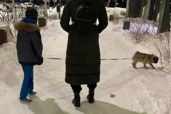 В Екатеринбурге мать вывела ребенка без обуви на мороз в воспитательных целях - Фото 1