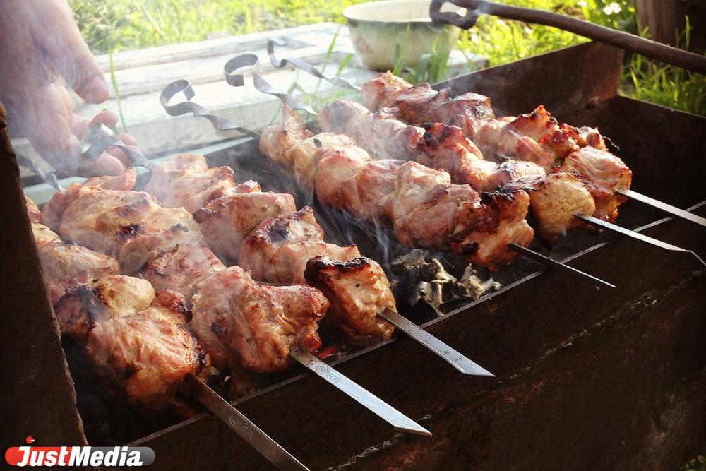 В Свердловской области официально начался пожароопасный сезон - Фото 1