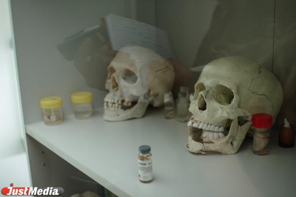 Власти назвали две главные причины смертности в Свердловской области - Фото 1