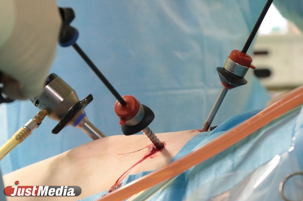 СК частично приостановил оказание услуг в клинике Тимура Хайдарова   - Фото 1