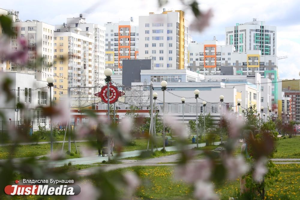 От школ до института ОММ. В мэрии рассказали, что постоят в новых кварталах Академического - Фото 1
