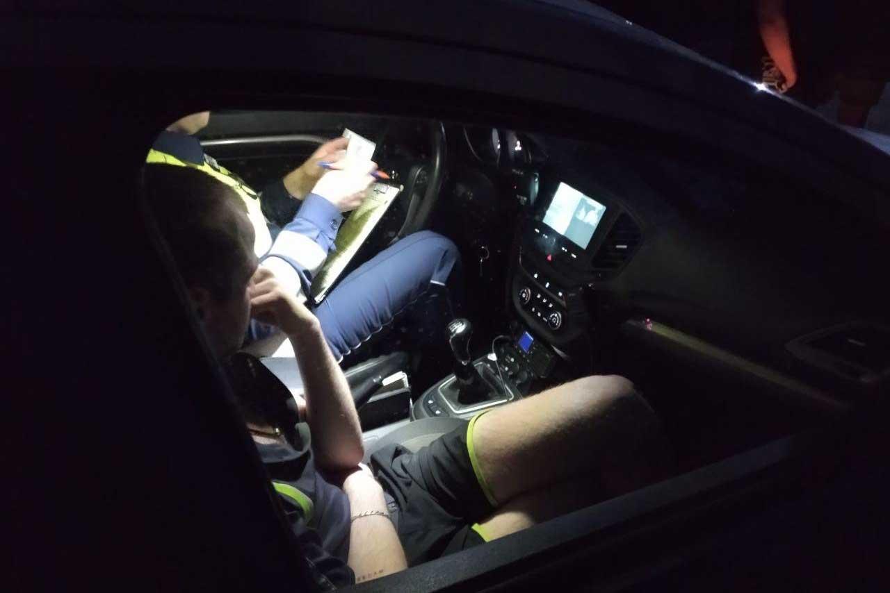 СК возбудил уголовное дело на виновника ДТП, где погибли 13-девочка и собака - Фото 1