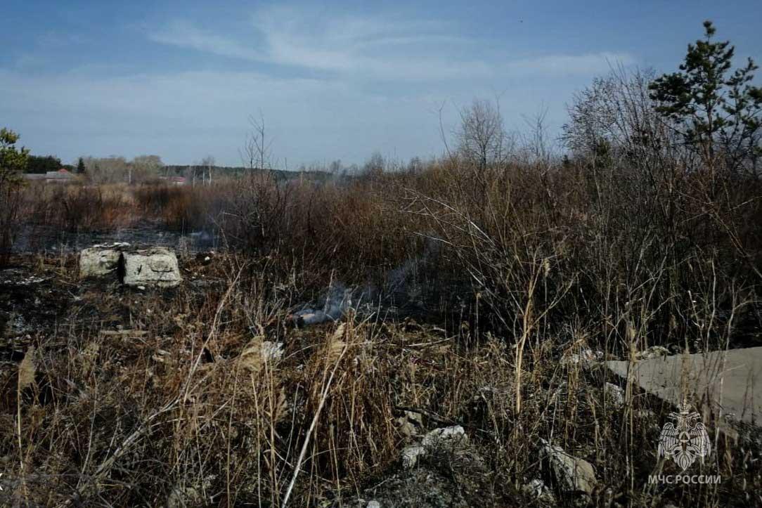В лесничестве под Невьянском из-за поджога двевостоя произошел природный пожар - Фото 1
