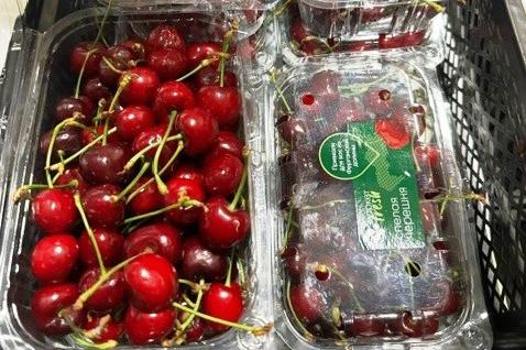 В Екатеринбург доставили 1,6 тонны черешни и 19 тонн дыни - Фото 1