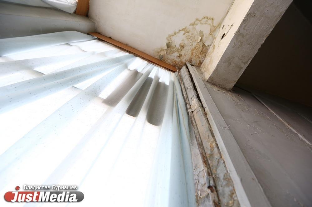 Плесень после затопления квартиры что делать - Фото 1