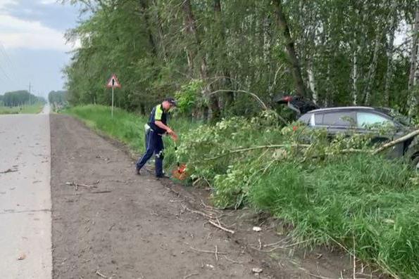 В Екатеринбурге, влетев в дерево, погиб водитель кроссовера. Его жена и внук — в больнице - Фото 1