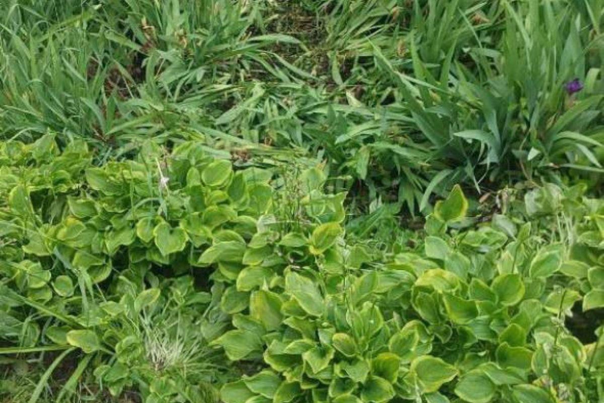 В Екатеринбурге девушка выпала с 18-го этажа и выжила - Фото 1