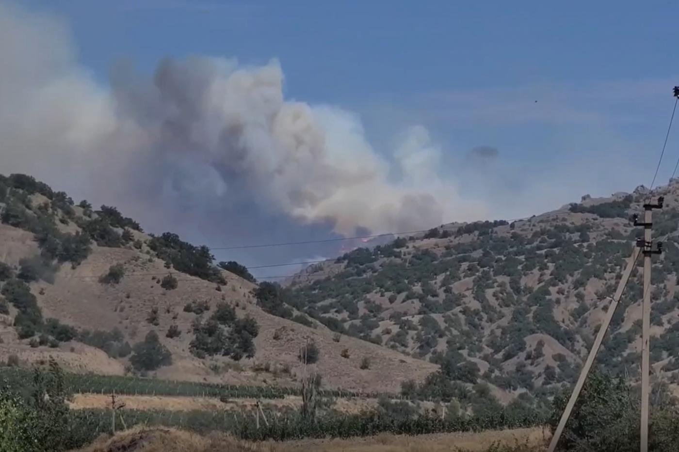 В Крыму площадь лестного пожара увеличилась до 15 гектаров  - Фото 1