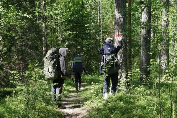 Промаркирован самый северный отрезок Большой уральской тропы до перевала Дятлова - Фото 1