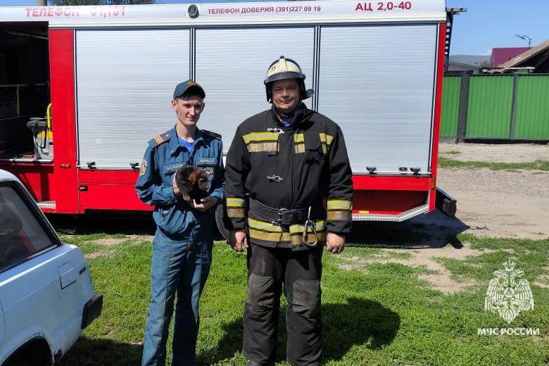В Красноярском крае спасатели достали щенка из канализационной трубы - Фото 1