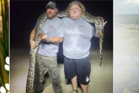 В нацзаповеднике Флориды американец поймал питона весом 77 килограммов  - Фото 1