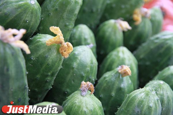 Сад и огород