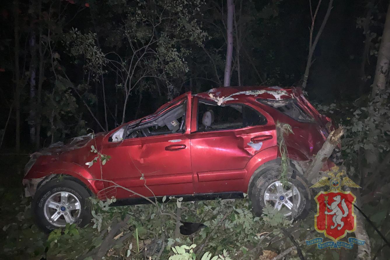 В Березовском в ДТП с лосем пострадали три человека  - Фото 1